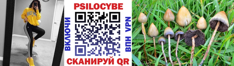 где купить наркотик Весьегонск Галлюциногенные грибы MAGIC MUSHROOMS