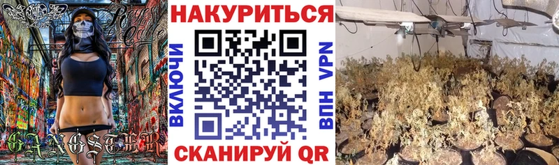 маркетплейс как зайти Весьегонск Марихуана OG Kush